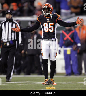 Cincinnati Bengals wide receiver Chad Ochocinco (85) reagiert auf einen Aufruf gegen die Bengals im zweiten Quartal ihre AFC wild card Playoff Spiel gegen die New York Jets in Paul Brown Stadium in Cincinnati, OH., am 9. Januar 2010. Die Düsen besiegten die Bengals 24-14 zum AFC divisional Playoffs voraus. UPI/Mark Cowan Stockfoto