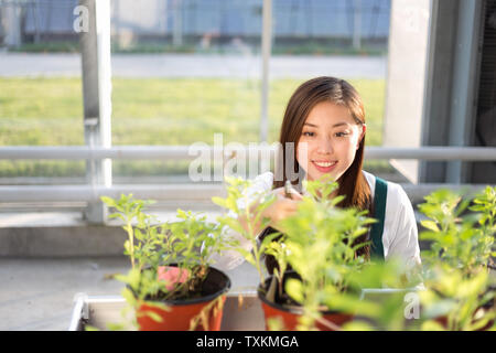 Junge schöne chinesische Frau arbeitet im grünen Bereich Stockfoto