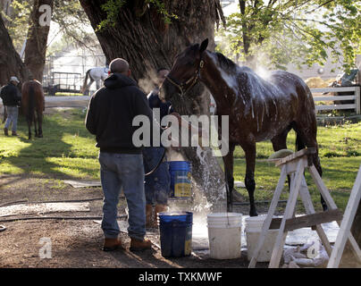 Dampf steigt aus ein Pferd, wie es von ihm für den Bräutigam in der Scheune Bereich nach einer morgendlichen Workout in der Churchill Downs Montag, 30. April 2018, in Louisville, Ky gewaschen. Trainer bereiten ihre Pferde für die 144 läuft der Kentucky Derby, das für Samstag geplant, am 5. Mai. Stockfoto