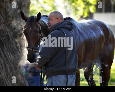 Dampf steigt aus einem Pferd als wusch sich von seinem Bräutigam Scheune nach einem morgendlichen Workout an Churchill Downs Montag, 30. April 2018, in Louisville, Ky. Trainer bereiten ihre Pferde für die 144 läuft der Kentucky Derby, das für Samstag geplant, am 5. Mai. Stockfoto