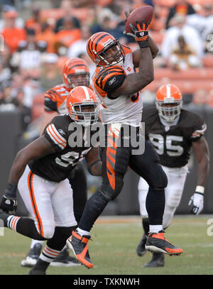 Cincinnati Bengals Rudi Johnson (32) fängt einen Pass von QB Carson Palmer (9) für keinen Gewinn gegen die Cleveland Browns an der Cleveland Browns Stadium in Cleveland, Ohio am 26. November 2006. (UPI Foto/Stephanie Krell) Stockfoto