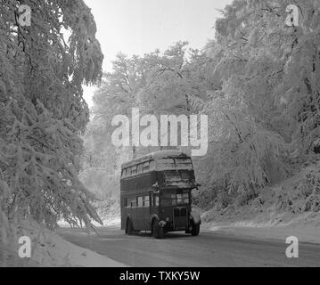 Ein Schnee-bus fährt vorsichtig abgedeckt durch Epping Forest, Essex, an der A11. Stockfoto