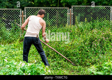 Junger Mann Bauer im Garten schneiden Unkraut hoch Hafer Gras mit Sichel sense Tool in grün sommer in der Ukraine Datscha oder Bauernhof Stockfoto