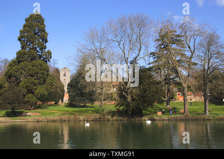 Themse in Rivermead Reading Berkshire Stockfoto