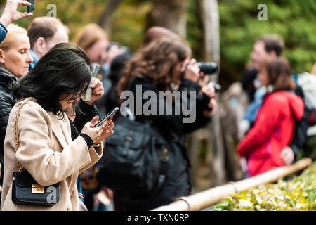 Kyoto, Japan - 10 April, 2019: kinkakuji Tempel oder Goldenen Pavillon, Rokuonji zen-buddhistischen Tempel mit vielen Touristen Frau Bilder aufnehmen Stockfoto