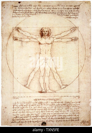 Leonardo Da Vinci, Vitruvianische Mensch, Zeichnung, ca. 1492 Stockfoto