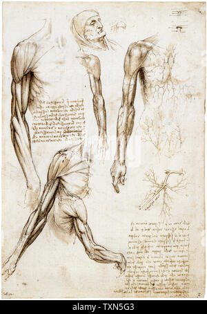 Leonardo Da Vinci-Zeichnungen, Toter oder moribunder Mann in Bust Length, anatomische Zeichnung, ca. 1510 Stockfoto