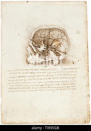 Leonardo Da Vinci-Zeichnung, Querschnitt eines menschlichen Schädels, anatomische Zeichnungen, 1489 Stockfoto