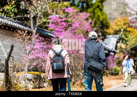 Kyoto, Japan - 10 April, 2019: Lila Blumen Baum sakura Kirschblüte bei Ninna-ji-Tempel mit Menschen Touristen zu Fuß Stockfoto