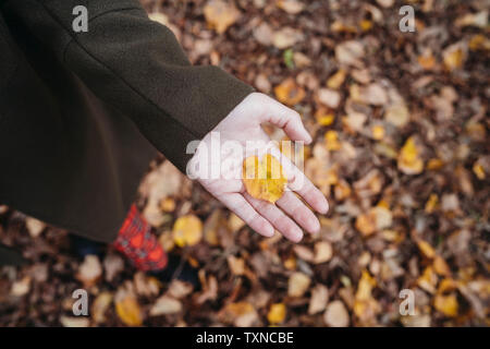 Junge Frau mit Herbst Blatt im Park, Ansicht von oben der Seite Stockfoto