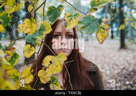 Junge Frau mit langen roten Haaren hinter Zweig der Blätter im Herbst im Park, Porträt Stockfoto