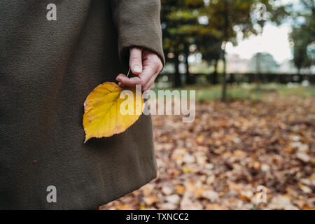Junge Frau mit Herbst Blatt in Park, 7/8 Stockfoto
