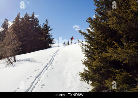 Reife männliche bis Schneeschuhwandern verschneite Berglandschaft, entfernte Ansicht von hinten, Steiermark, Tirol, Österreich Stockfoto