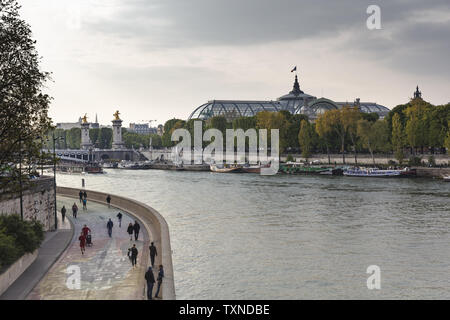 Malerischer Blick auf Grand Palais und Pont Alexandre III über Seine, Paris, Frankreich Stockfoto