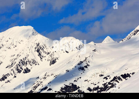 College Fjord, Alaska, USA Stockfoto