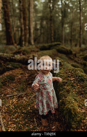 Baby Mädchen erforschen Wald, Queenstown, Canterbury, Neuseeland Stockfoto