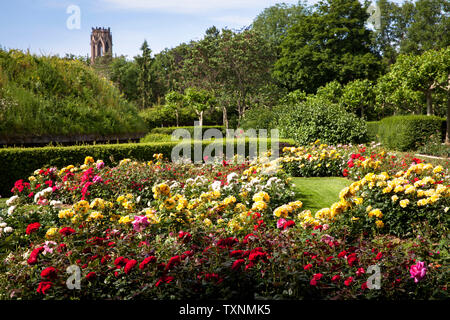 Der Rosengarten im Fort X wird ein Teil der ehemaligen inneren Festung Ring, im Hintergrund der Agnes Kirche, Köln, Deutschland der Rosengarten am Fort X Stockfoto