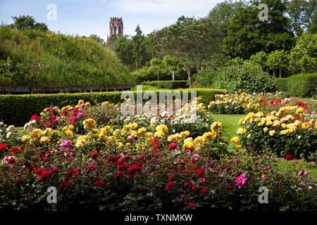 Der Rosengarten im Fort X wird ein Teil der ehemaligen inneren Festung Ring, im Hintergrund der Agnes Kirche, Köln, Deutschland der Rosengarten am Fort X Stockfoto