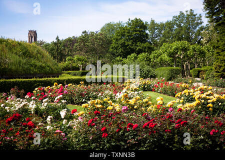 Der Rosengarten im Fort X wird ein Teil der ehemaligen inneren Festung Ring, im Hintergrund der Agnes Kirche, Köln, Deutschland der Rosengarten am Fort X Stockfoto