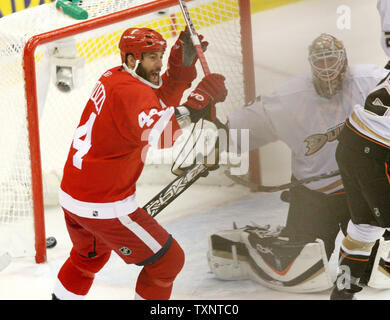 Detroit Red Wings rechten Winger Todd Bertuzzi(44) feiert Nicklas Lidstrom's Ziel gegen die Anaheim Ducks in der zweiten Periode von Spiel zwei der Western Conference Finals an der Joe Louis Arena in Detroit am 13. Mai 2007. (UPI Foto/Scott R. Galvin) Stockfoto