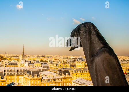 Le Stryge Chimera mit Blick auf Paris von oben Notre-Dame de Paris. Stockfoto