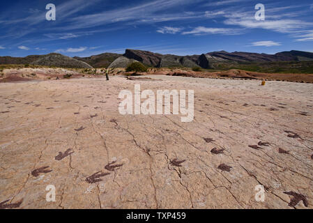 Fußabdrücke von Dinosauriern in Torotoro Nationalpark, Torotoro, Bolivien Stockfoto