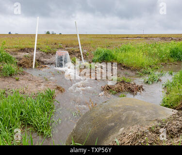 Schwere Regenfälle und Stürme im Mittelwesten haben Bauernhof Feld Überschwemmungen und Gräben mit Wasser verursacht und verzögerten Aussaat von Mais und Sojabohnen Stockfoto