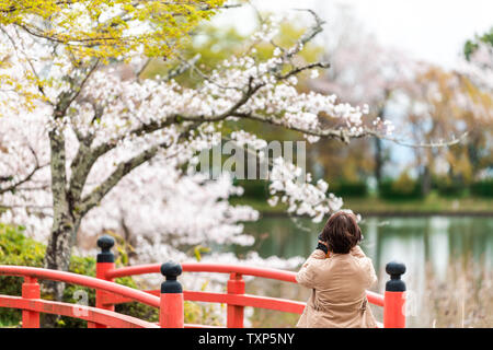 Kyoto, Japan - 11. April 2019: Cherry Blossom von OSAWA-no-IKE-Teich See im Frühling in Daikakuji Temple Garten mit Frau, Bild von Sakura und r Stockfoto