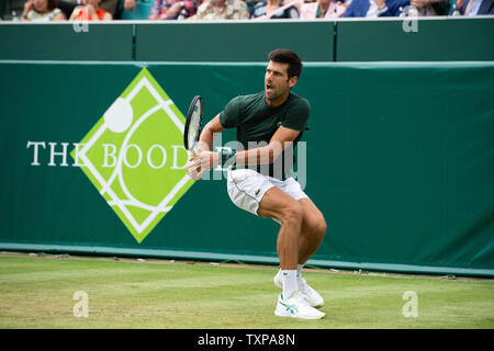 Stoke Park, Buckinghamshire, Großbritannien. 25. Juni 2019. Weltweit die Nummer 1 Novak Djokovic (SRB) Öffnet das Boodles in Stoke Park Country Club, Hotel und Spa. Die fünfzehn mal Grand Slam Champion spielt auf Gericht mit Welt Nr. 35 Cristian Garin (CHI) Im ersten Match des Tages. Djokovic gewann das Spiel 6-2, 6-4. Credit: Maureen McLean/Alamy leben Nachrichten Stockfoto