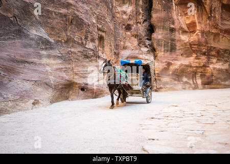 Beduinen und Pferd in der Petra, Jordanien Stockfoto