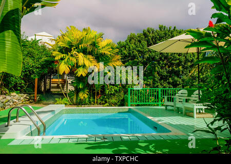 David Hill, Jamaika, Dez 2018, Schwimmbad im Hotel Strawberry Hill in den Blue Mountains Stockfoto