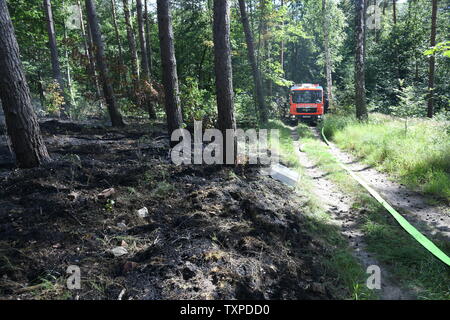 Berlin, Deutschland. 25. Juni 2019. Ein Löschfahrzeug Fahrzeug fährt durch den Grunewald in Berlin. Ein Feuer im Berliner Grunewald in der Nähe der Teufelsberg gebrochen. Credit: Julian 1603/dpa-Zentralbild/dpa/Alamy leben Nachrichten Stockfoto