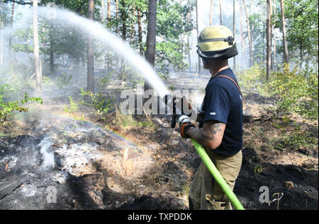 Berlin, Deutschland. 25. Juni 2019. Ein Feuerwehrmann löscht den Brand im Berliner Grunewald. Ein Feuer im Berliner Grunewald in der Nähe der Teufelsberg gebrochen. Credit: Julian 1603/dpa-Zentralbild/dpa/Alamy leben Nachrichten Stockfoto