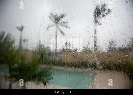 Palmen wehen im Wind als durch das Fenster im Marriott Fairfield Inn gesehen wie Hurrikan Irma seinen Weg durch Delray Beach, Florida macht am 10. September 2017. Irma ist das Schlagen der Westküste von Florida. Foto von Ken Cedeño/UPI Stockfoto