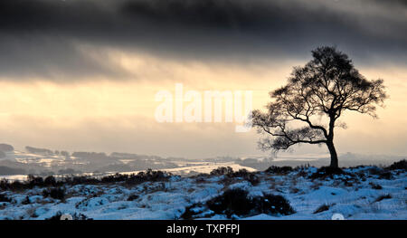 Lawrence Feld, warme Sonne an einem kalten Wintertag Stockfoto