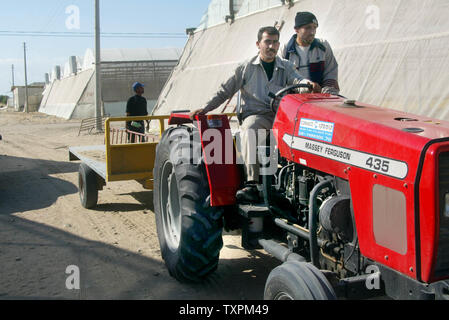 Palästinensischen Bauern arbeiten in einem Gewächshaus, am 8. November 2005 in der ehemaligen jüdischen Siedlung von Gani Tal in Khan Younis, im Süden des Gazastreifens. Ausländische Geldgeber gekauft die Gewächshäuser aus der Israelischen Siedler und Sie waren schnell von den Palästinensern mit Erdbeeren, Tomaten, Paprika und anderes Gemüse, zu reifen, in den kommenden Monaten neu bepflanzt. Internationalen Sonderbeauftragten James Wolfensohn kam am Montag ein 3-Wege Konferenz Stuhl während seiner Woche - langer Aufenthalt mit israelischen und palästinensischen Beamten, die versuchen, die Gemüse Ernte zu retten, und die verbleibenden Streitigkeiten über R lösen Stockfoto