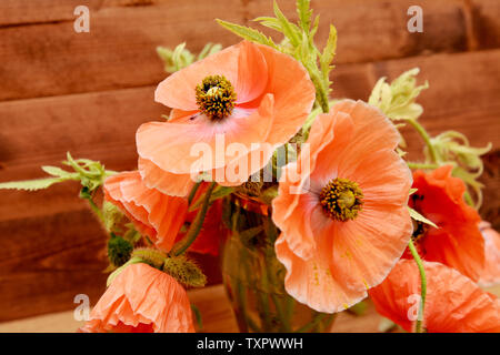 Blass rosa Mohn aus dem Garten gepflückt, in eine Vase gegen einen hölzernen Hintergrund Stockfoto