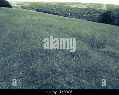 Schwarze und weiße Landschaft der Berkshire Downs, Streatley, Berkshire, England, UK, GB. Stockfoto