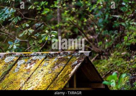 Nara, Japan Garten im Frühling mit Holzdach closeup in Moos im traditionellen japanischen Stil Stockfoto