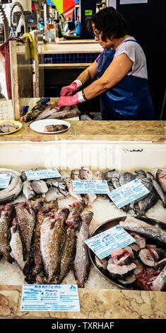 Ausnehmen Fische, Lagos, Algarve, Portugal Stockfoto