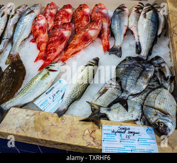 Fisch Anzeige, Lagos, Algarve, Portugal Stockfoto