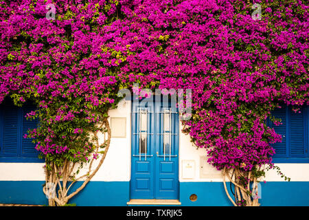 Atemberaubende blaue Tür, die durch violette Blumen gerahmt Stockfoto