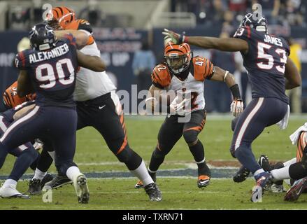 Cincinnati Bengals Läufer, BenJarvus Green-Ellis (42) verläuft durch eine Öffnung in der ersten Hälfte gegen die Houston Texans im Reliant Stadium während der AFC Wild Card Runde in Houston, Texas am 5. Januar 2013. UPI/Wilf Thorne Stockfoto