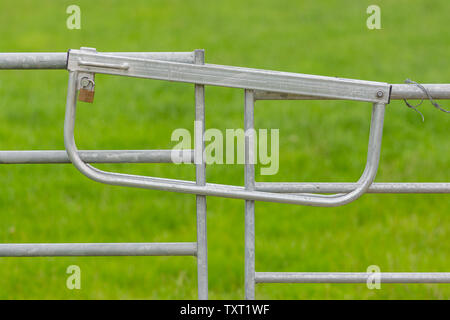 Bars in eine geschlossene Metalltor mit und über die obere Verriegelung und ein Vorhängeschloss. Stockfoto