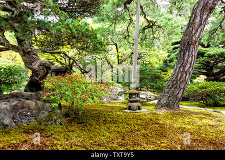 Kyoto, Japan Green Moss spring garden in Imperial Palace Architektur mit Stein Laterne und Blumen beschnitten Bäume Stockfoto