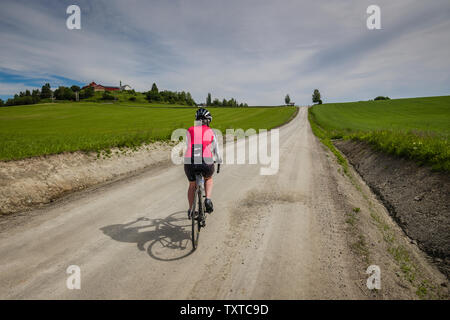 Schotterpisten rund um Borgjafjorden nördlich von Trondheim, Norwegen. Stockfoto