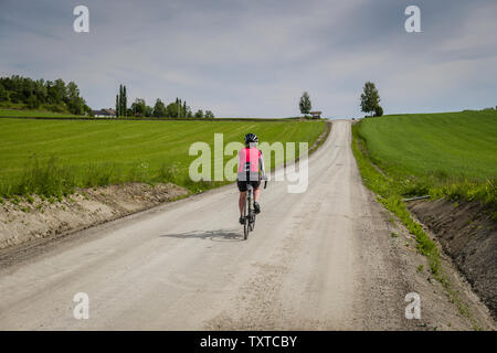 Schotterpisten rund um Borgjafjorden nördlich von Trondheim, Norwegen. Stockfoto