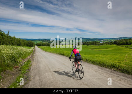 Schotterpisten rund um Borgjafjorden nördlich von Trondheim, Norwegen. Stockfoto