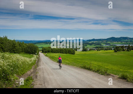 Schotterpisten rund um Borgjafjorden nördlich von Trondheim, Norwegen. Stockfoto