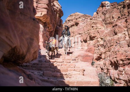 Beduinen und Esel in den Petra, Jordanien. Stockfoto